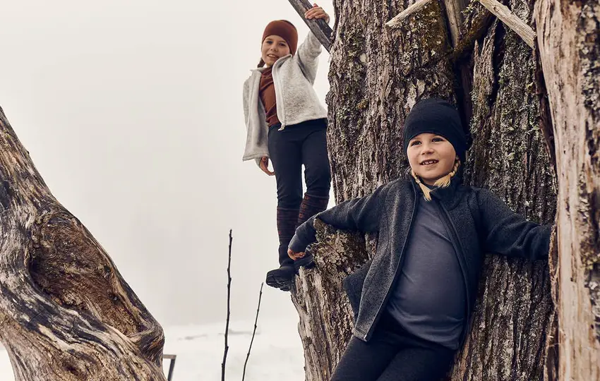 Relaterade artiklar-bild